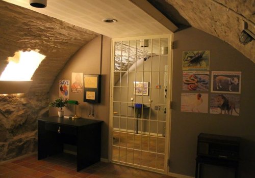 Hororové escape games